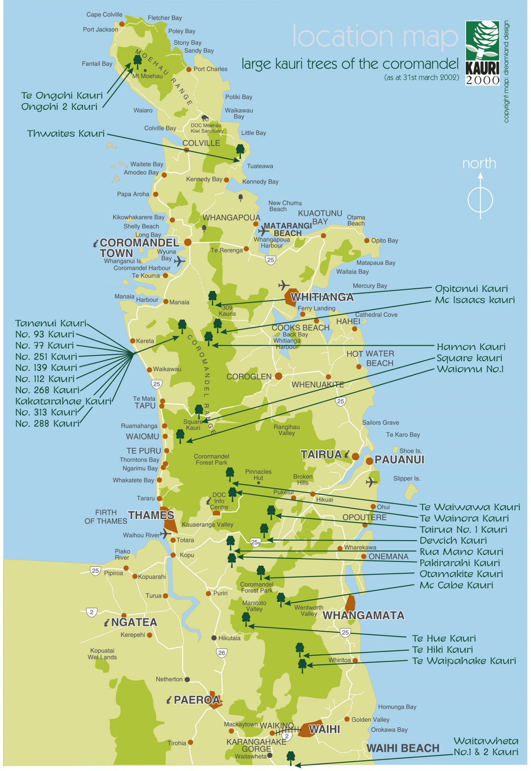 Coromandel Giants Kauri 2000